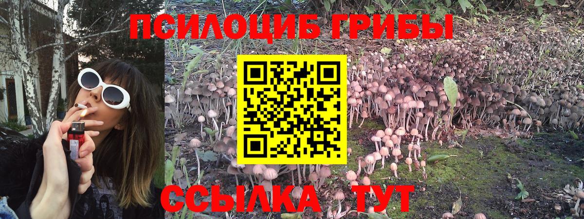 Псилоцибиновые грибы GOLDEN TEACHER Россия