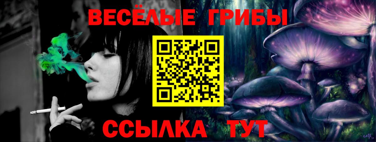 наркошоп  Вход с VPN  Россия  Галлюциногенные грибы ЛСД 
